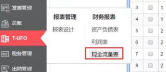 T+Online现金流量表，让您人工减“伴”效率稳“赚”